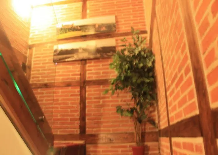 Casa de hóspedes Adults Only